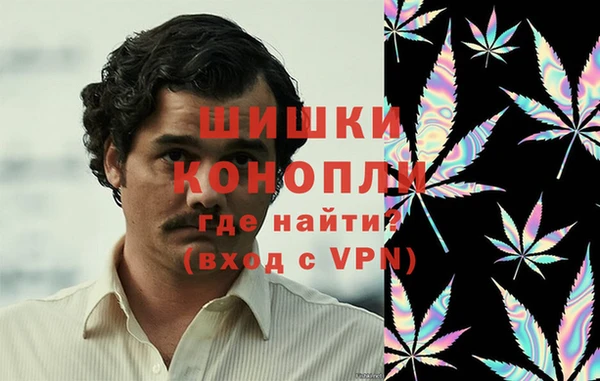 прущая мука Алзамай