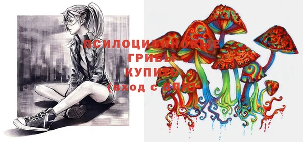 прущая мука Алзамай